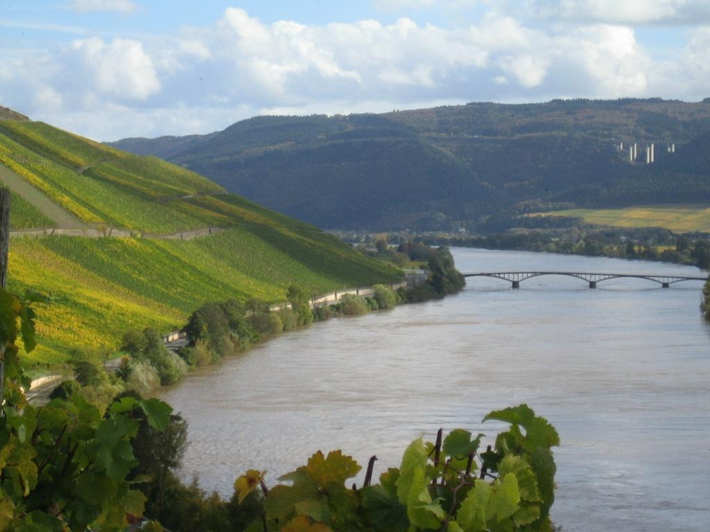 An Der Oelmuehle Kenn Стая снимка